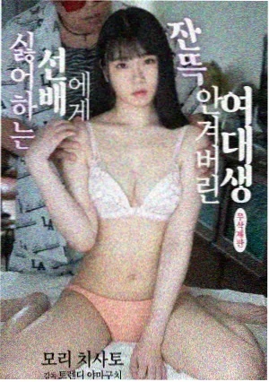 苍龙影视 风起洛阳 电视剧
